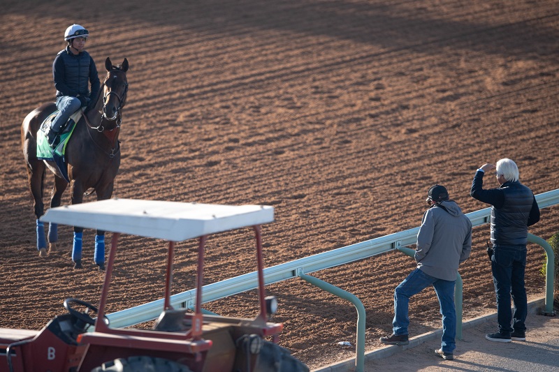 RS1430_28.2.20_McKinzie_TRACKWORK_SAUDI CUP__DD34871.jpg racing trainer_web.jpg