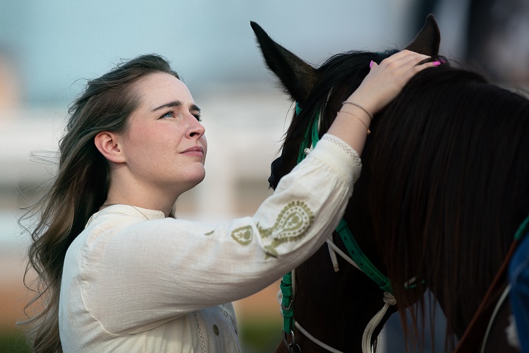 Where to Watch The Horses